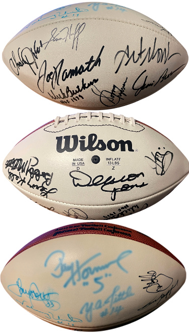HOF Legends Signed OFC Wilson NFL WP Leather Football Tagliabue 17 Sigs Beckett Namath/Jim Brown/Riggins/Monk/Gibbs/Unitas