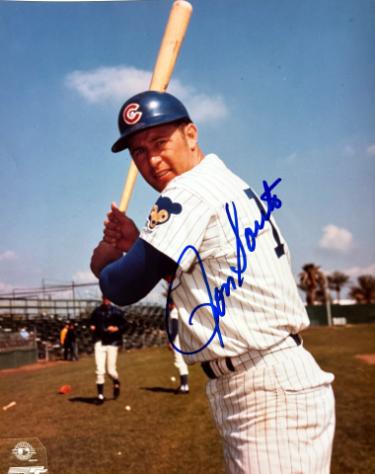 Ron Santo signed Chicago Cubs MLB Licensed 8x10 Photo minor dings- Tuff Stuff COA (HOF/9X All Star)