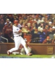 So Taguchi signed St. Louis Cardinals 16x20 Photo Batting (2006 World Series Champs)English/Japanese
