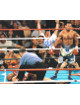 Sugar Shane Mosley signed Boxing 16X20 Photo - Leaf Authentics Hologram