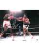 Larry Holmes signed Boxing 16x20 Photo vs Ali w/ Easton Assassin (under the lights)