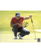 Henrik Stenson signed PGA 8x10 Photo (2014 TPC Sawgrass)- PGA Tour Hologram