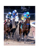 American Pharoah signed 16x20 Photo 2015 Belmont Stakes Ahead of Pack Horse Racing Triple Crown w/ Victor Espinoza- Steiner Holo