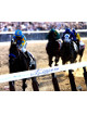 American Pharoah signed 16x20 Photo 2015 Belmont Stakes Final Stretch Horse Racing Triple Crown w/ Victor Espinoza- Steiner Holo