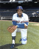 Fergie Jenkins signed Texas Rangers 16X20 Photo HOF 91 (on knee)