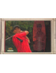 Tiger Woods 2001 Upper Deck Tiger's Championship Collection 3.5x5 PGA Golf Card #TCC9 -2085/3000 (1999 Memorial)