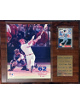 Mark McGwire St. Louis Cardinals Record Breaker 62nd Home Run 8x10 Photo and Card 12x15 Plaque