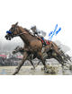 Mike E. Smith signed Justify 2018 Preakness 8x10 Photo Triple Crown- Steiner Hologram