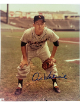 Al Kaline signed Detroit Tigers MLB Licensed 8x10 Photo- Tuff Stuff COA/Show Ticket