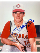 Pete Rose signed Cincinnati Reds MLB Licensed 8x10 Photo imperfect- Tuff Stuff LOA (HIT KING/4256)