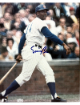 Ernie Banks signed Chicago Cubs MLB Licensed 8x10 Photo- COA (HOF/2X MVP/14X AS)