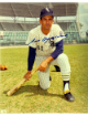 Luis Aparicio signed Chicago White Sox MLB 8x10 Photo minor dings- CSA COA (HOF/13X AS/ROY)