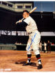 Harmon Killebrew signed Washington Senators MLB 8x10 Photo minor dings- COA (HOF)