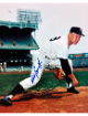 Hal Reniff signed New York Yankees 8x10 Photo minor dings- COA (61 WS Champ)