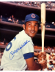 Billy Williams signed Chicago Cubs MLB Licensed 8x10 Photo minor dings- COA (HOF)