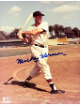 Mickey Vernon signed Washington Senators MLB Licensed 8x10 Photo minor dings- COA