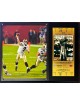 Drew Brees New Orleans Saints 12x15 Super Bowl XLIV NFL Licensed Photo Plaque w/ Rep Ticket/Brand New