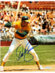 Dave Kingman signed Oakland A's MLB 8x10 Photo- Sports World Collectibles COA #A13547