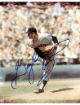 Gaylord Perry signed San Francisco Giants MLB Licensed 8x10 Photo- COA (HOF)