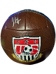 Clint Dempsey signed Nike Team USA 2013 Centennial Soccer Ball - JSA (HOF)