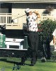 Scott Hoch signed 8x10 Photo PGA Golf- Mounted Hologram