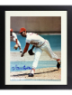 Steve Carlton signed St. Louis Cardinals MLB Licensed 8x10 Photo Custom Framing- COA (HOF/4X CY/Lefty)